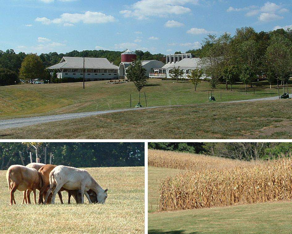 Agricultural History Farm Park